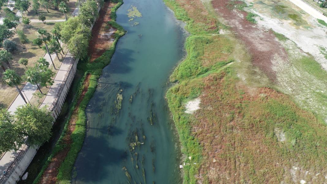 Seyhan Nehri’nin rengi değişti. Bu görüntünün sebebi ne? 23